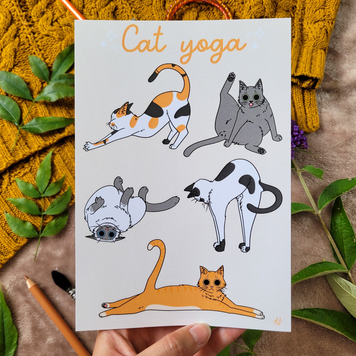 Illustration "Cat Yoga"